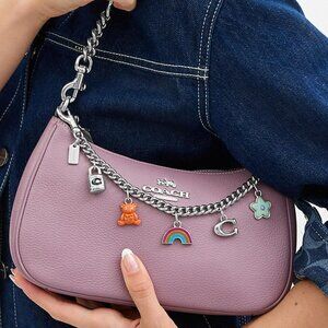 Coach Adorable Silver Swagger Chain With Six Charms CW662